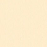 Papel de Parede Choice Premier CP9008