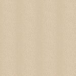 Papel de Parede Modern Nature CZ2451