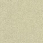 Papel de Parede Dimension & Color ET4091