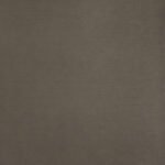 Papel de Parede Classic Designs H2880506