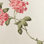 Papel de Parede CasaBella JG0621