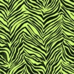 Papel de Parede Cool Kids KS2297
