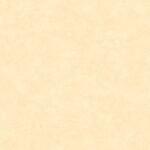 Papel de Parede Moda em Casa 2 MD700404R