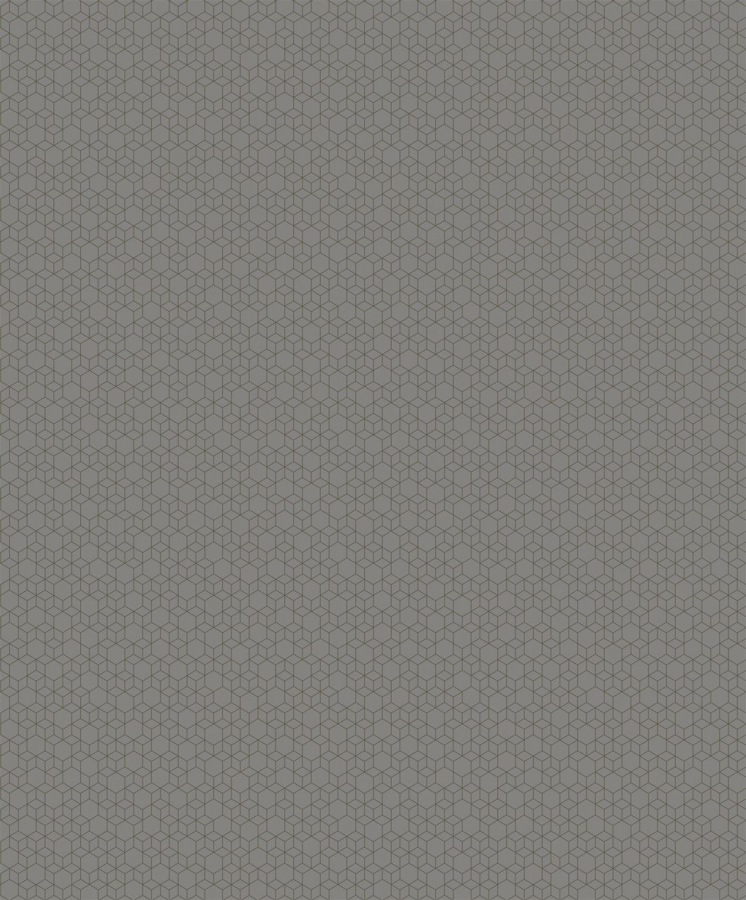 MM558208__61070.jpg Papel de Parede Modern Maison MM558208| Consultar disponibilidade do Produto | - Imagem 1