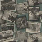 Papel de Parede Kashimir MW9220