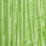 Papel de Parede Neonature PR0202 | Consultar disponibilidade do Produto |