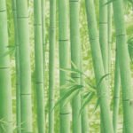 Papel de Parede Neonature PR0203 | Consultar disponibilidade do Produto |