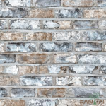 Papel de Parede Stone Age 2 SN604804R | Consultar disponibilidade do Produto |