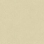 Papel de Parede Dimensional Efects TD4761