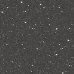 Papel de Parede Tiny Tots G78407 “Consultar disponibilidade do Produto 19 9 8750-5835”