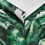 Papel De Parede Belize UGG230101