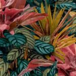 Papel de Parede Wanderlust WL2002 “Consultar disponibilidade do Produto 19 9 8750-5835”