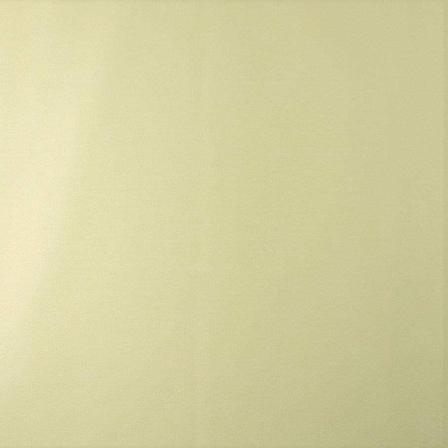 X-51177202.jpg Papel de Parede Vinílico Twiggy TWG51177203 | Consultar disponibilidade do Produto | - Imagem 1