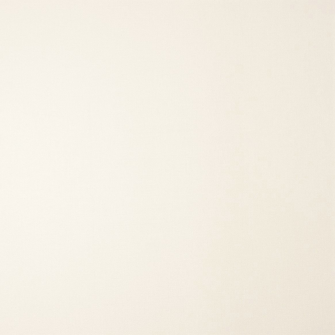 X-51177207.jpg Papel de Parede Vinílico Twiggy TWG51177207 | Consultar disponibilidade do Produto | - Imagem 1