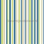 Papel de Parede Infantil Imagine Fun 1 668700