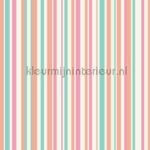 Papel de Parede Infantil Imagine Fun 1 668800