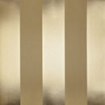 Papel de Parede Bright Wall Y6130302