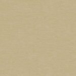 Papel de Parede St Augustine BQ3866