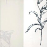 Papel de Parede Brera 28101