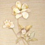 Papel de Parede Motivi 51028 "Consultar disponibilidade do Produto 19 9 8750-5835"