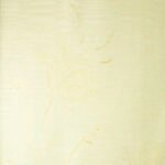 Papel de Parede Motivi 55117 "Consultar disponibilidade do Produto 19 9 8750-5835"