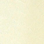 Papel de Parede Motivi 55192 "Consultar disponibilidade do Produto 19 9 8750-5835"