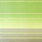 Papel de Parede Motivi 55202 "Consultar disponibilidade do Produto 19 9 8750-5835"