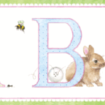 PLAYDATE - PD51751B