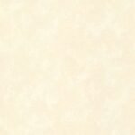 Papel de Parede Geo 488-31201