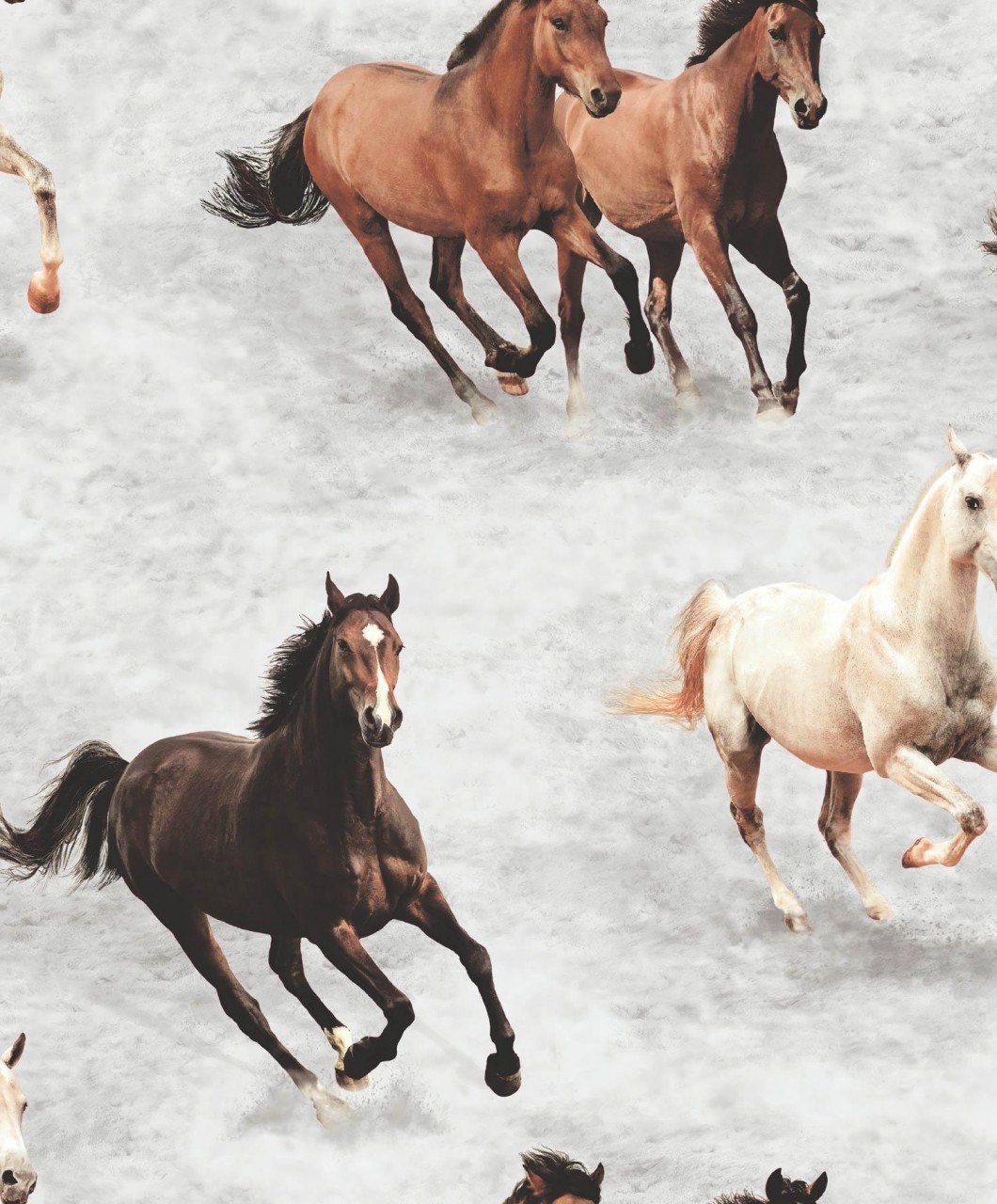 sk10038__02554.jpg Papel de Parede Sahara Nights SK10038 - Imagem 1