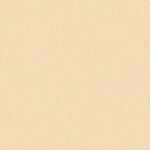 Papel de Parede Basics YG68267