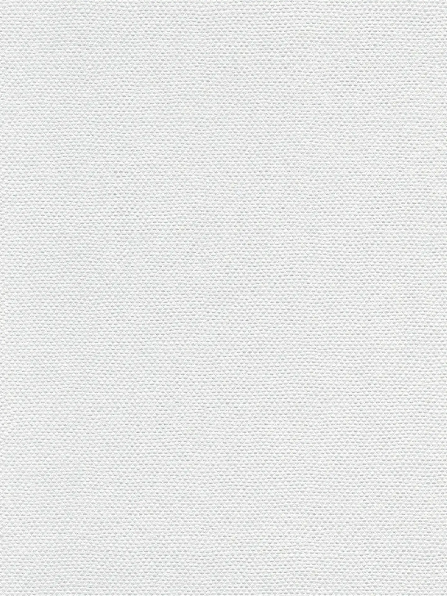 141019 Papel de Parede Lilly & Luis 141019 - Imagem 1