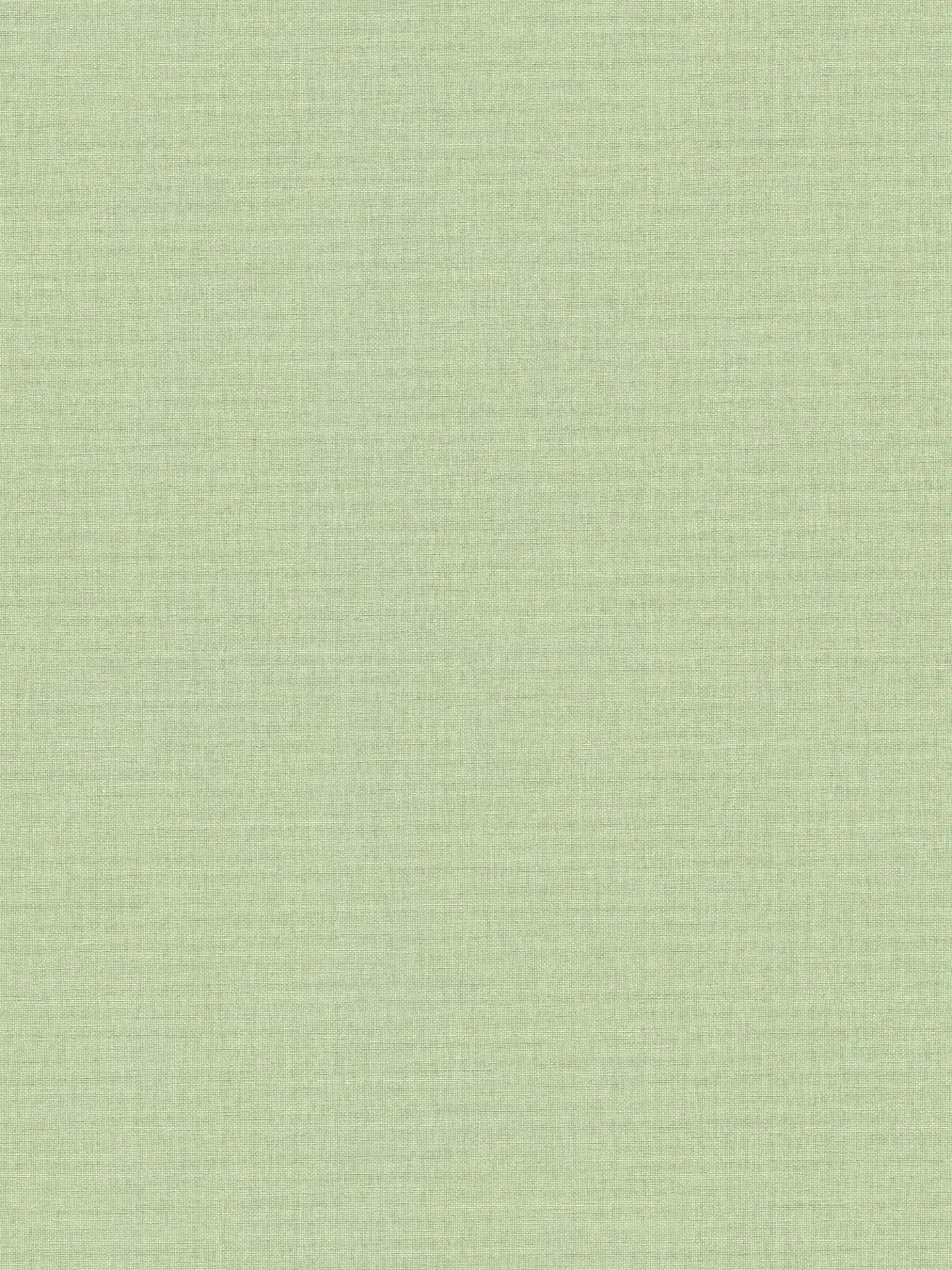 399886-2 Papel de Parede Lilly & Luis 399886 - Imagem 1