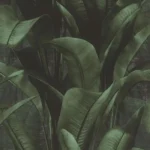 Papel de Parede Allegretto 416237