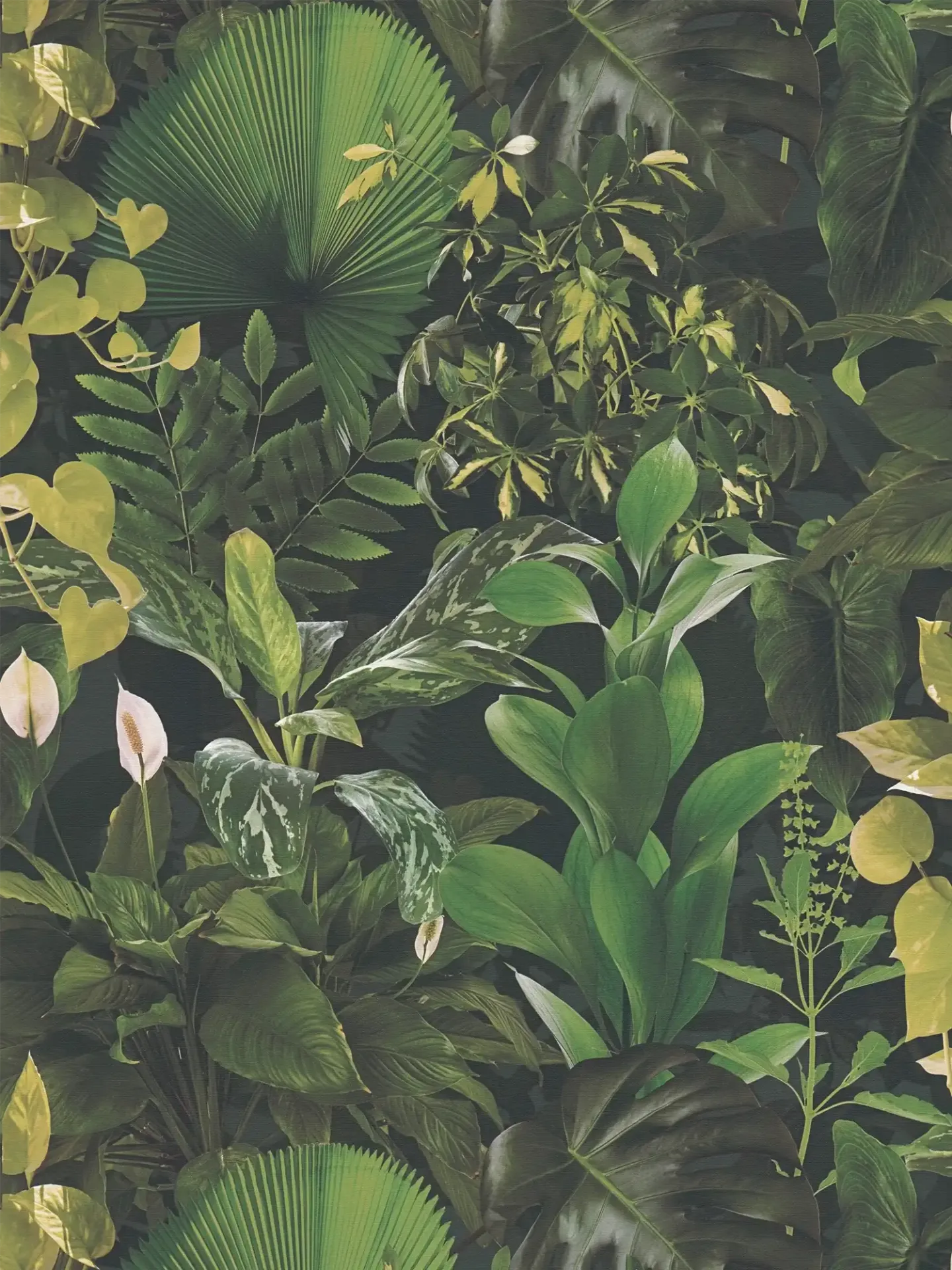 396981 Papel de Parede TrendWall 2 396981 - Imagem 1