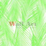 Papel de Parede Vinci V1012-56