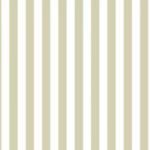 Papel de Parede Top Stripes 38453