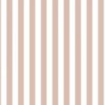 Papel de Parede Top Stripes 38454