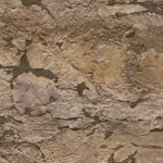 Papel de Parede Vibes & Styles 791991