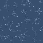 Papel de Parede Pippo 33611