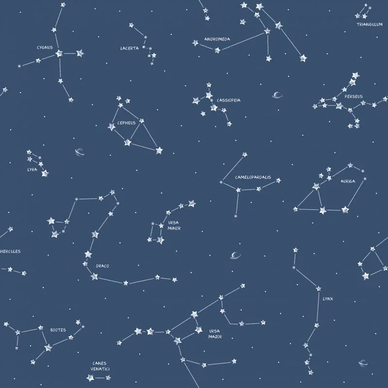 papel-de-parede-infantil-pippo-33611-0110dc4e Papel de Parede Pippo 33611 - Imagem 1