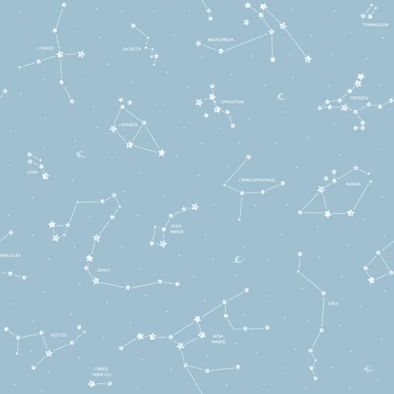 papel-de-parede-infantil-pippo-33612-f9ea4e07 Papel de Parede Pippo 33612 - Imagem 1