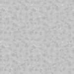 Papel de Parede Time Collection LP260304