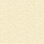 Papel de Parede Time Collection LP260306