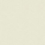 Papel de Parede Time Collection LP261406