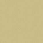 Papel de Parede Natural Color MA160203