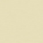 Papel de Parede Muddy Color MC120063