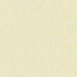 Papel de Parede Muddy Color MC120122