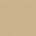 Papel de Parede Structured Walls A84923